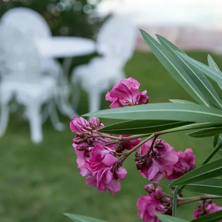 Corfu Senses 3* Agios Ioannis Peristeron (Corfu)