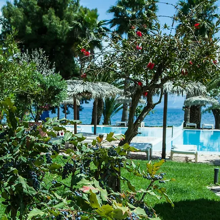 Corfu Senses Hotel 3*