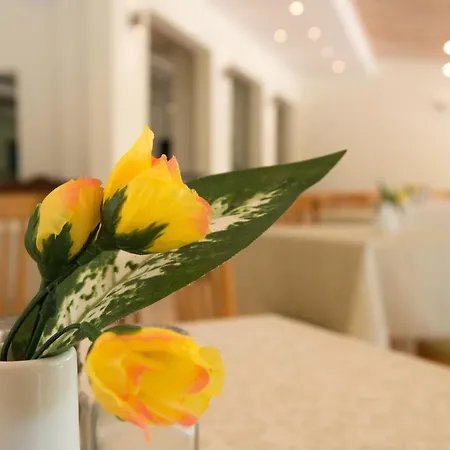 Hotel Corfu Senses 3*