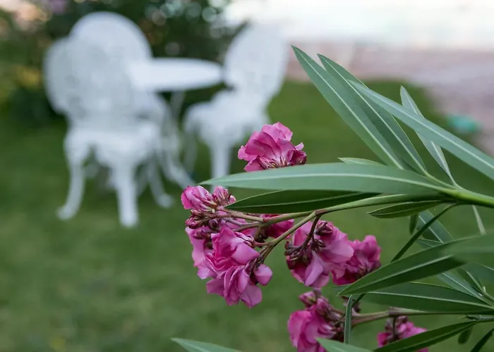 Corfu Senses 3* אגיוס יואניס פריסטרון